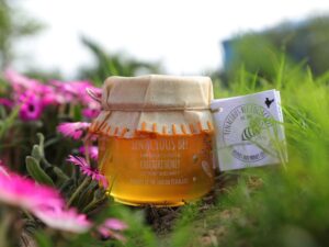 RAW UNPASTEURISED CHICHIRI HONEY