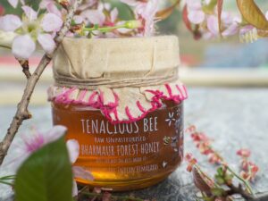 RAW UNPASTEURISED BHARMOUR FOREST HONEY